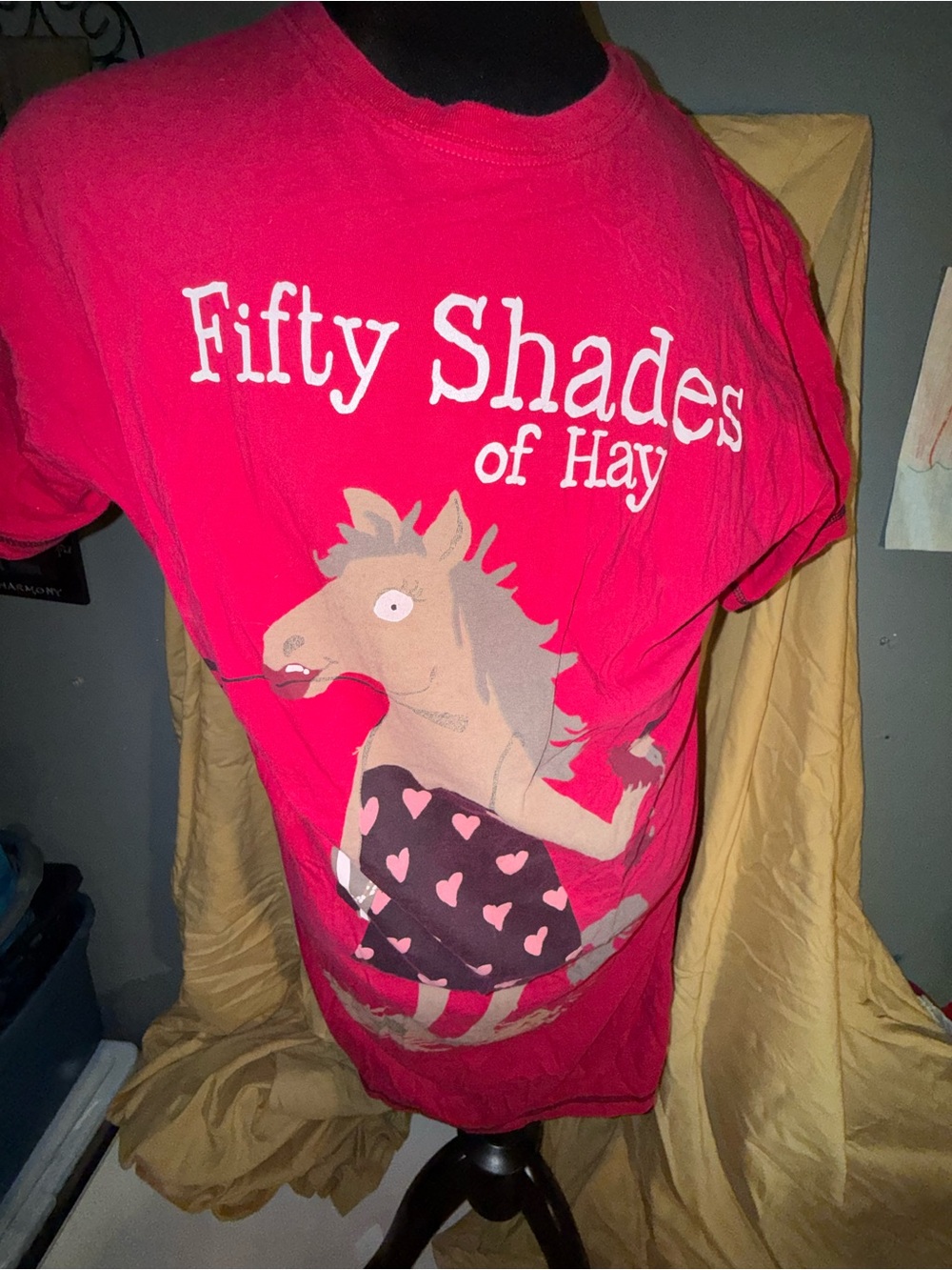 Fifty Shades of Hay Pink Nightshirt-os